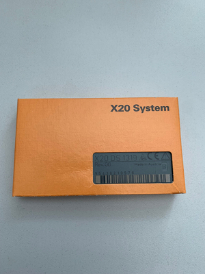 X20DS1319 B&amp;R X20 PLC सिस्टम 4 डिजिटल इनपुट चैनल इनपुट या आउटपुट के रूप में कॉन्फ़िगर करने योग्य