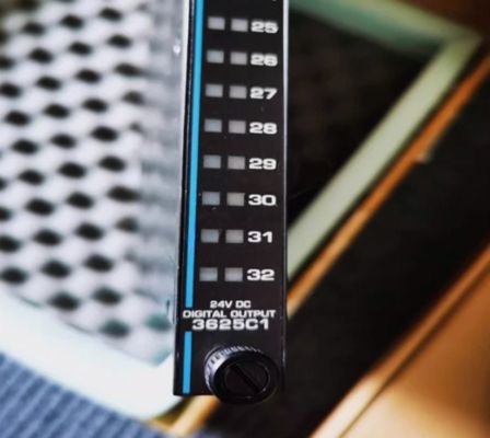 3625C1 Triconex पर्यवेक्षित डिजिटल आउटपुट मॉड्यूल