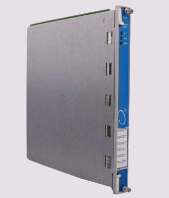 बेंटली नेवादा 3500/61 133811-02 तापमान मॉड्यूल